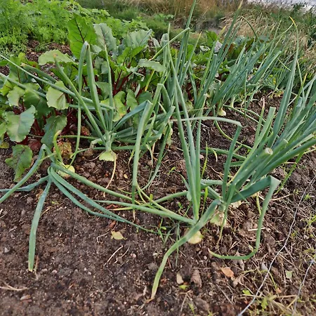 Cichy Zakatek Holiday home Kleszczewo Koscierskie