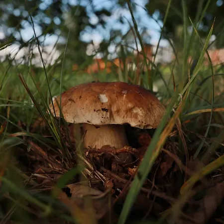 Hébergement de vacances Cichy Zakatek